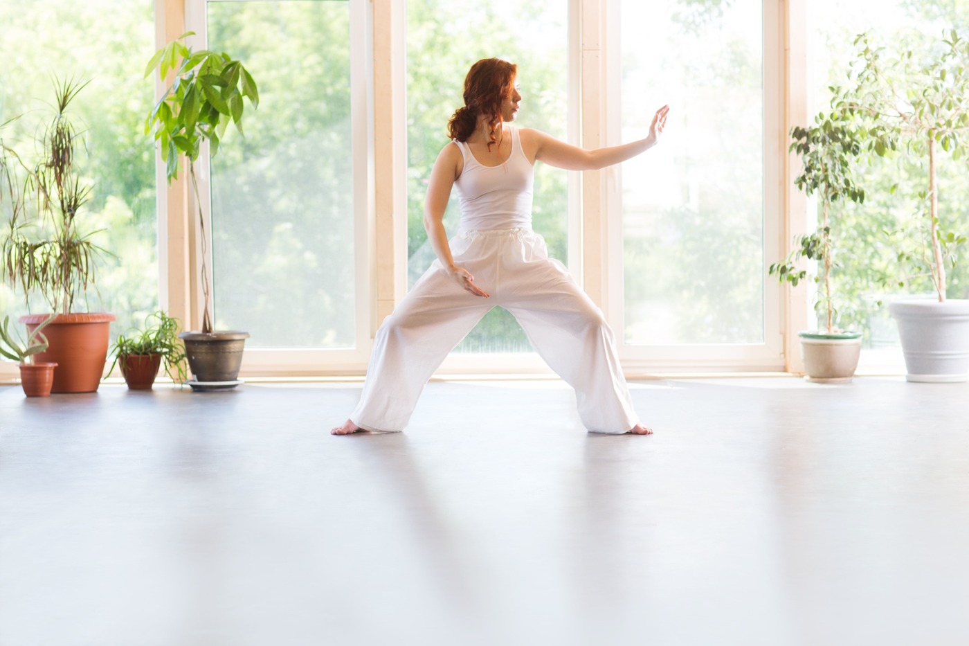 Tai Chi und die fünf Elemente